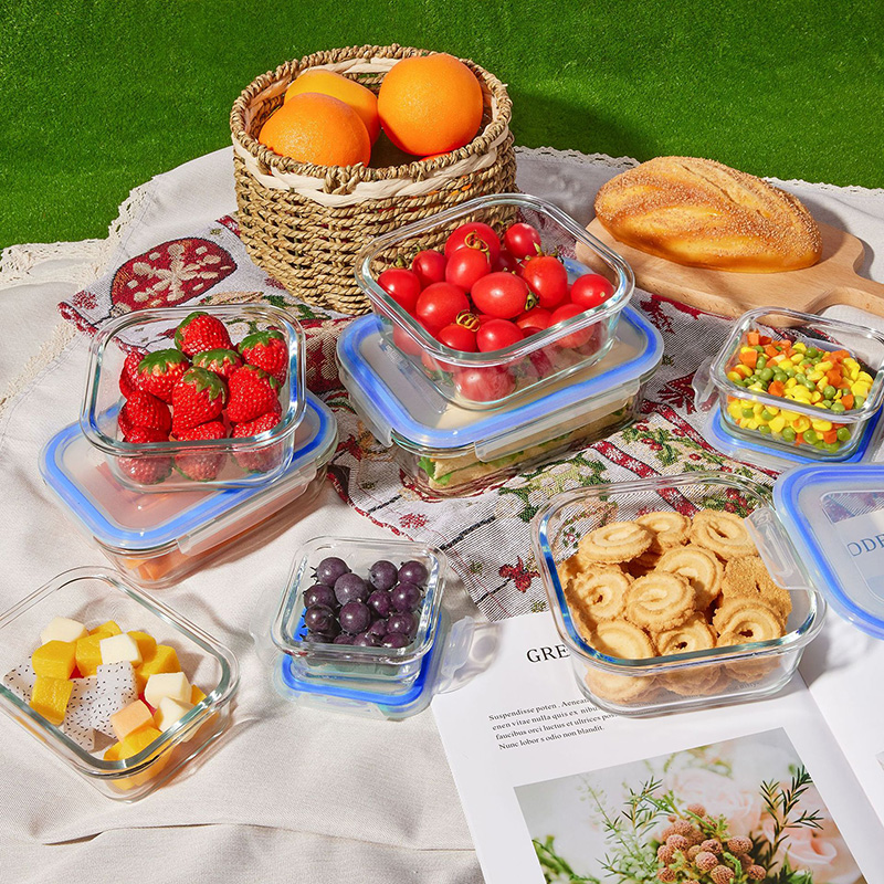 Glass Meal Prep Containers Lun - đánh giá và giá Meal Prep Lunch Boxes