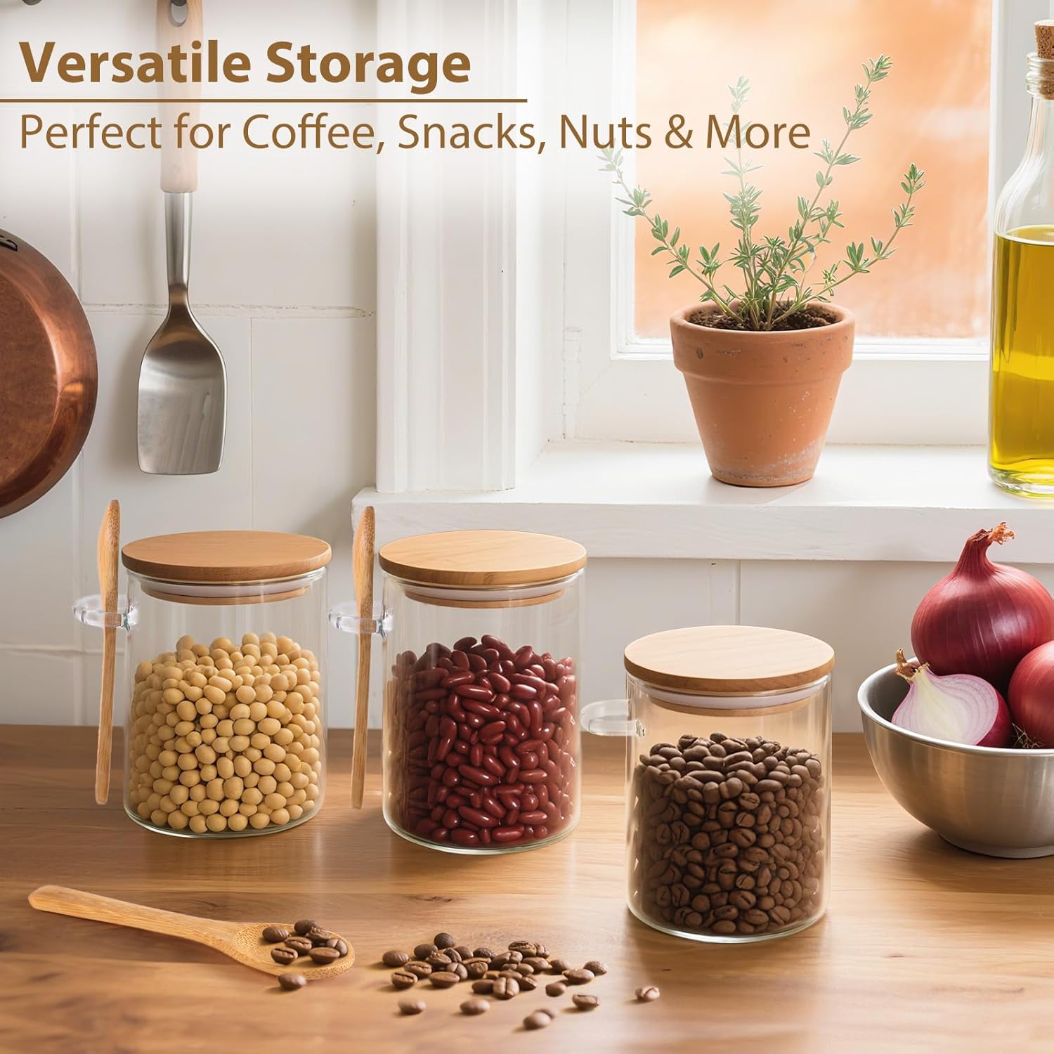 6 Pack Overnight Oats Containe - đánh giá và giá Meal Prep Containers
